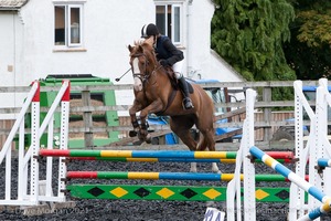 Class 7 - Fences 3' to 3'3